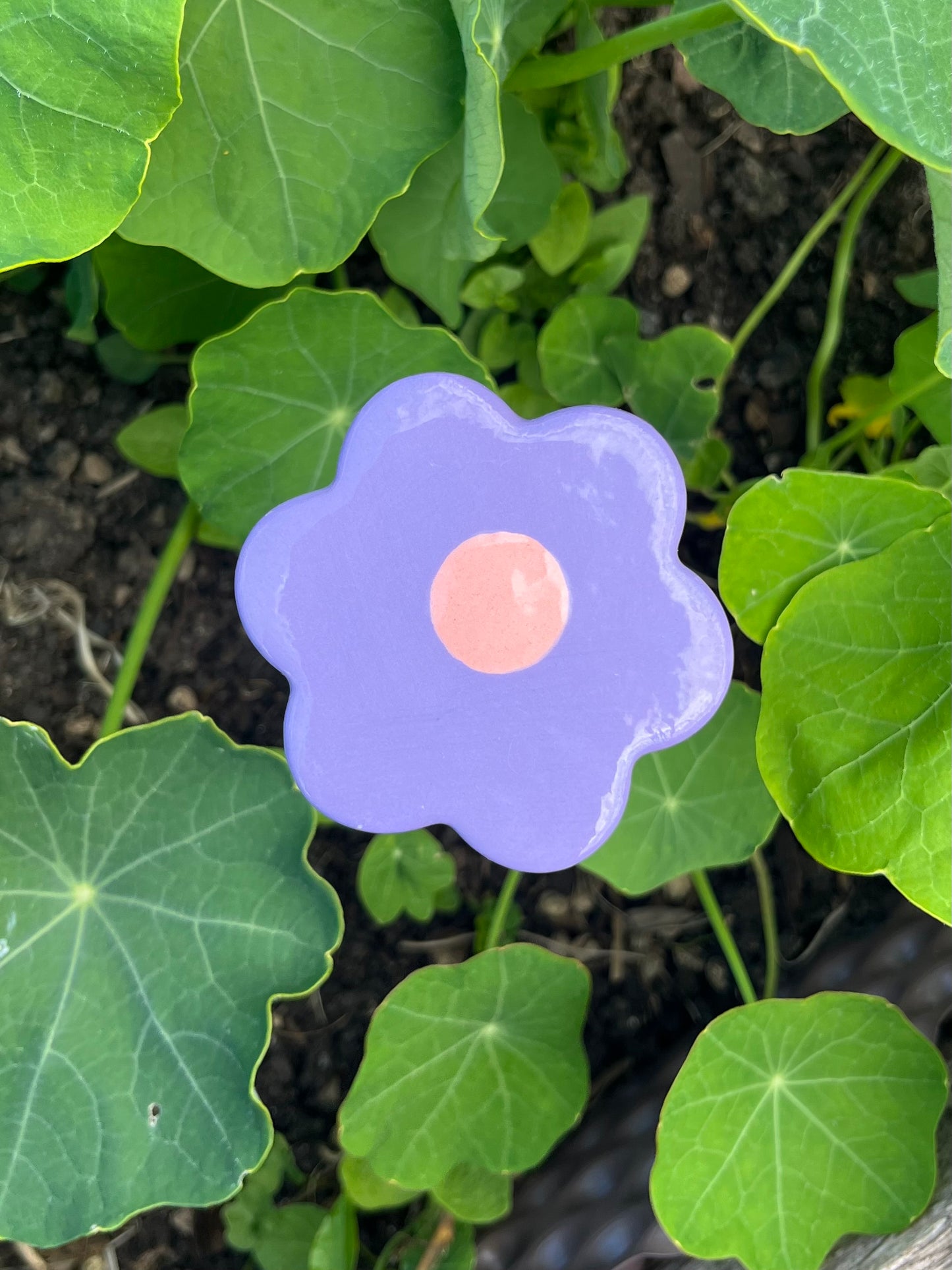 Les P'tites Fleurs - qui ne fanent pas !