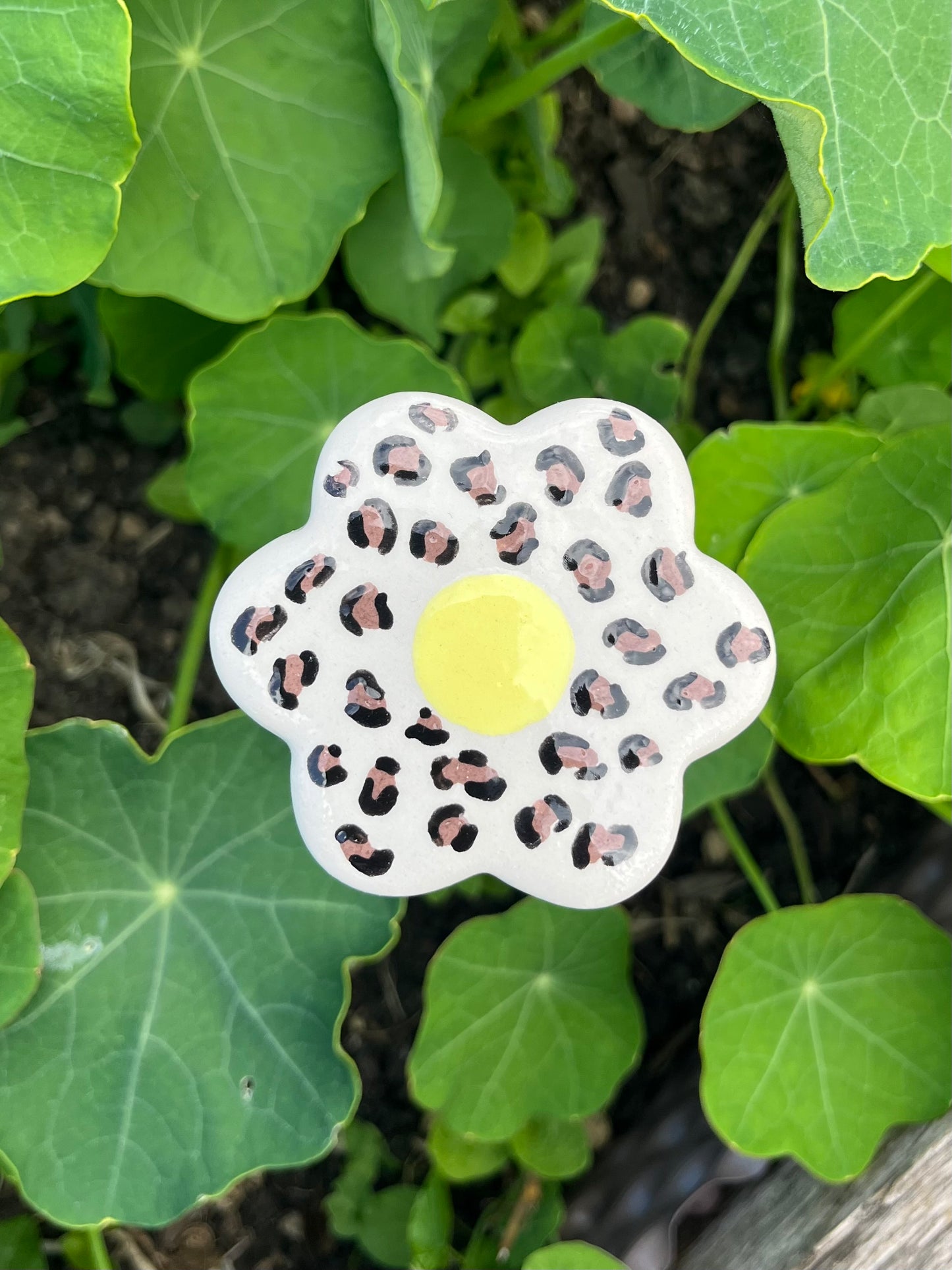 Les P'tites Fleurs - qui ne fanent pas !