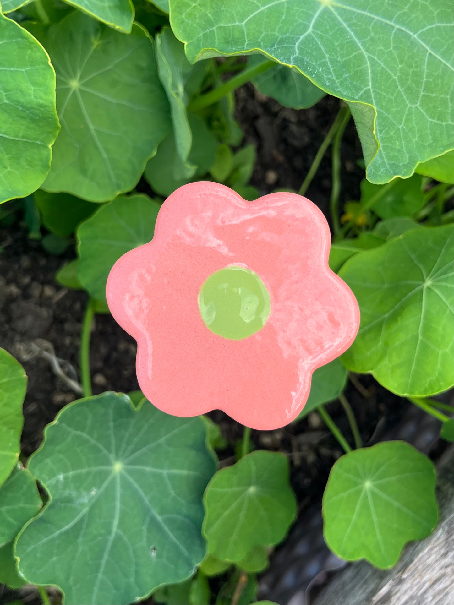 Les P'tites Fleurs - qui ne fanent pas !