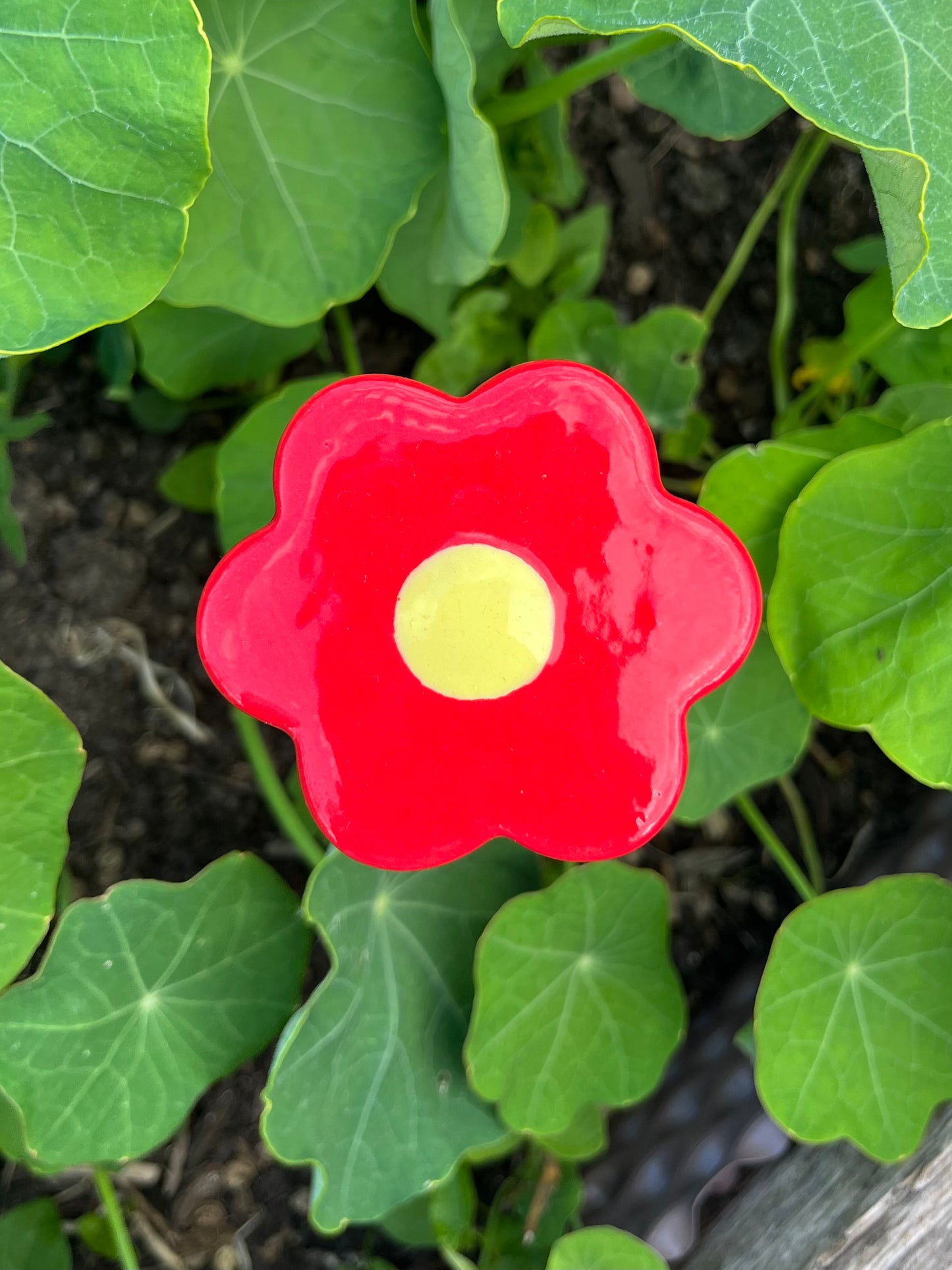 Les P'tites Fleurs - qui ne fanent pas !