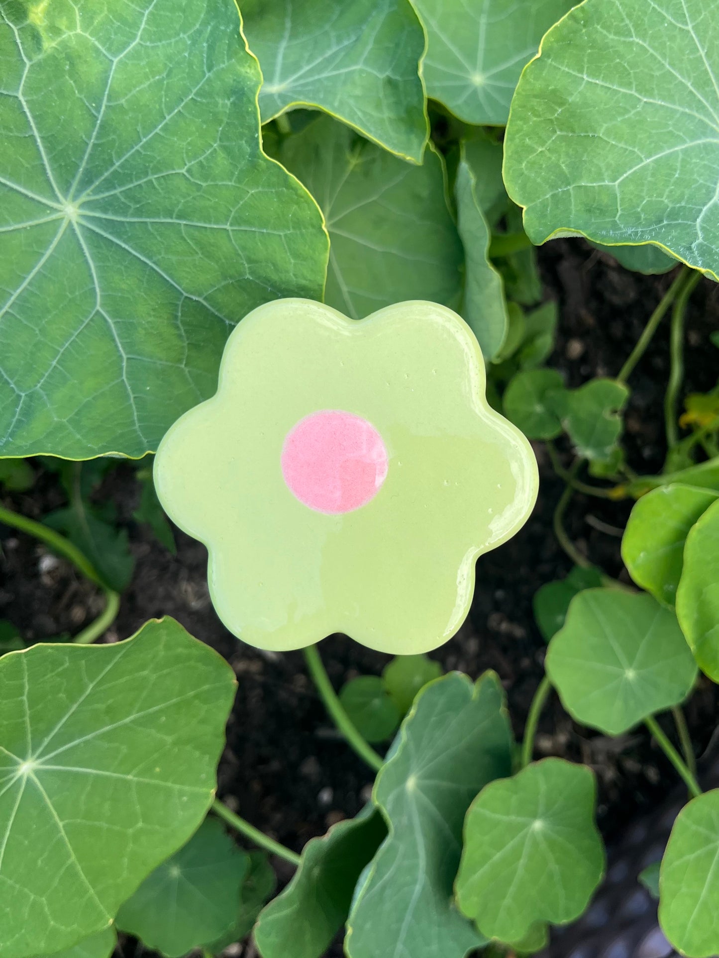 Les P'tites Fleurs - qui ne fanent pas !