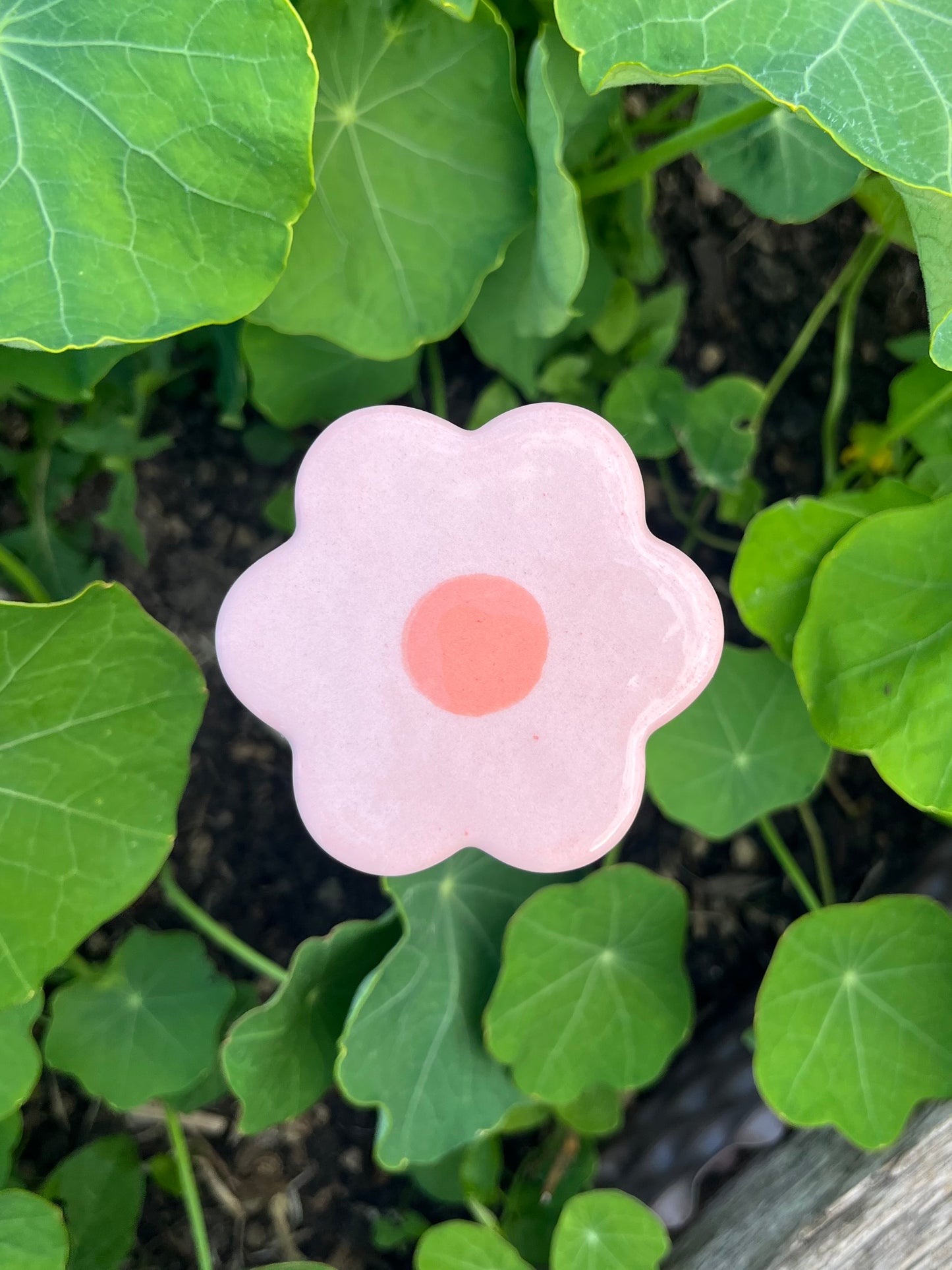 Les P'tites Fleurs - qui ne fanent pas !