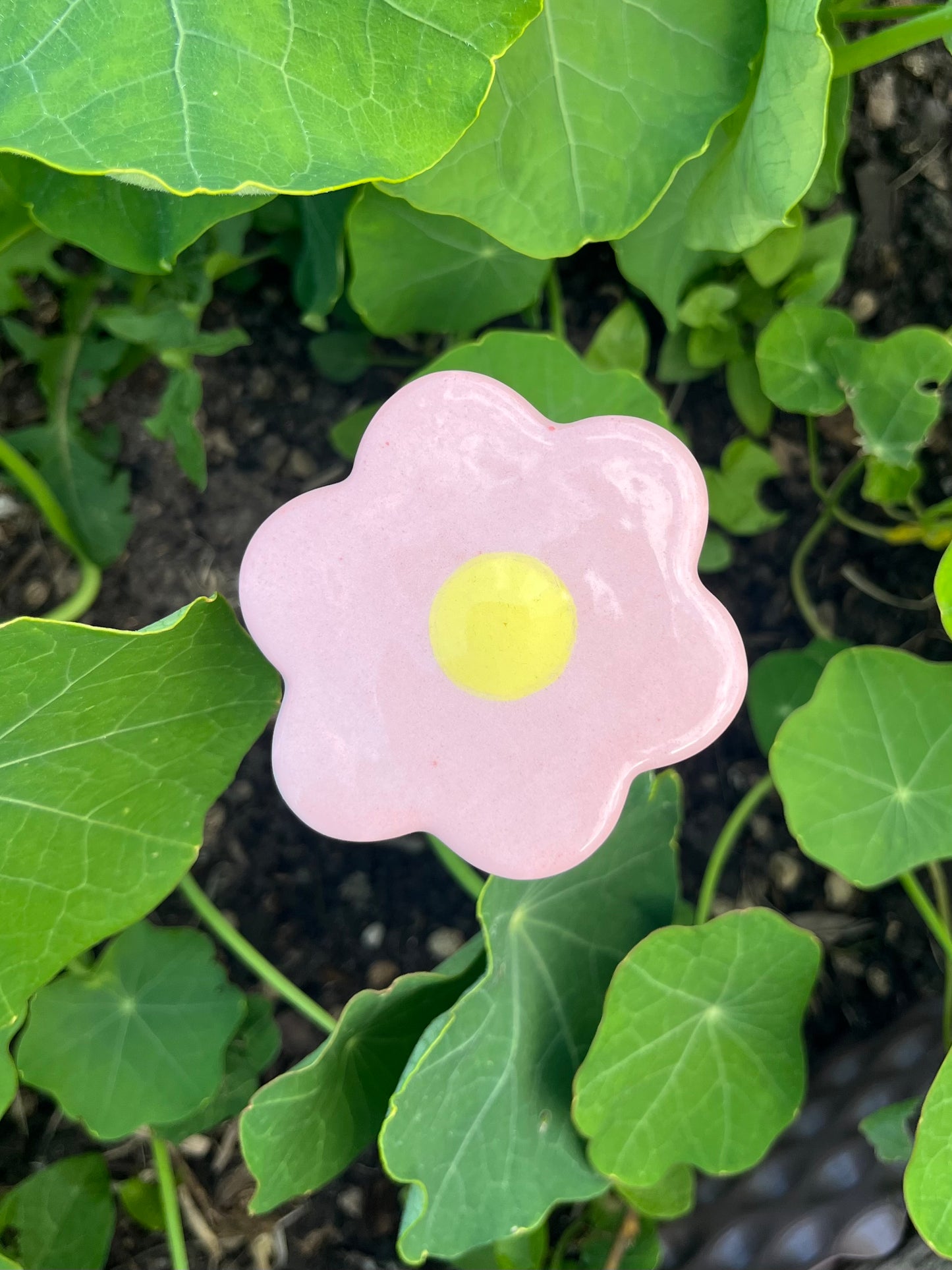 Les P'tites Fleurs - qui ne fanent pas !
