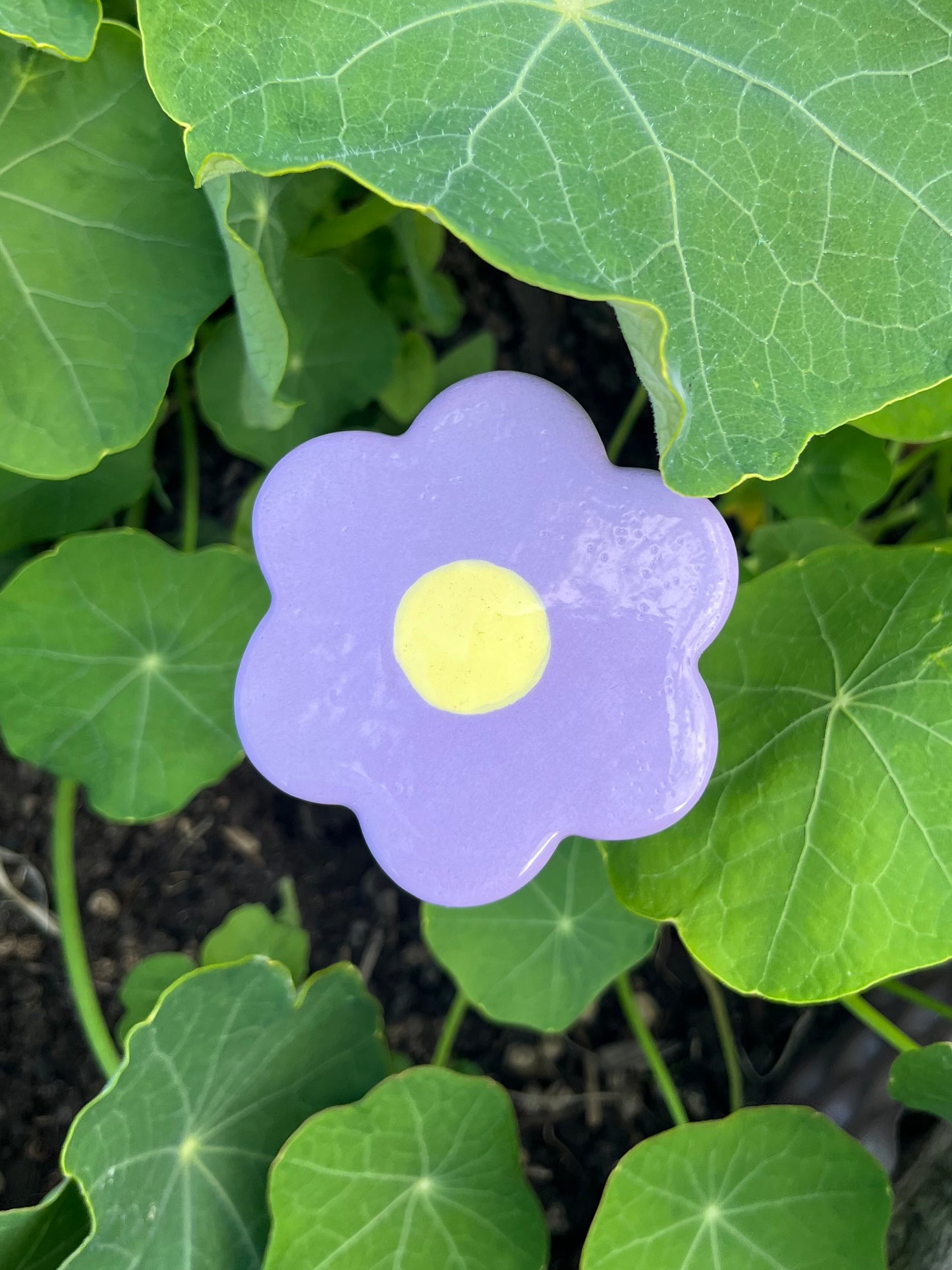 Les P'tites Fleurs - qui ne fanent pas !